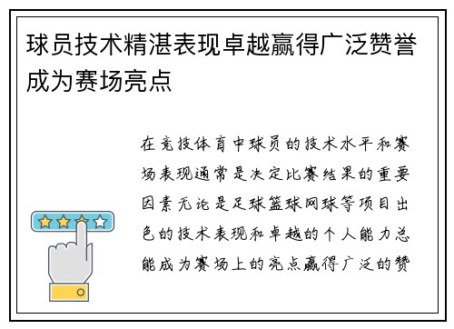 球员技术精湛表现卓越赢得广泛赞誉成为赛场亮点
