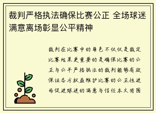 裁判严格执法确保比赛公正 全场球迷满意离场彰显公平精神